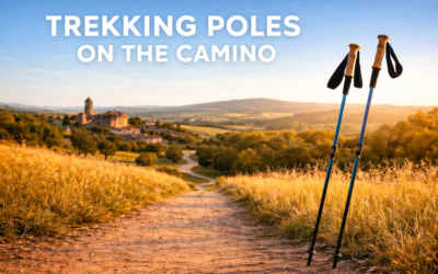 What you need to know about trekking poles