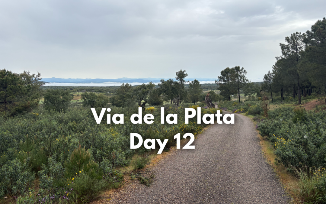 Vía de la Plata – Day 12
